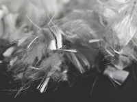 Image of micro fibres