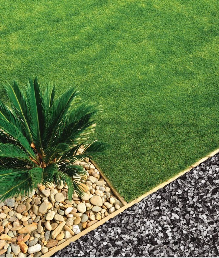 A landscaped area with green grass, a palm plant surrounded by rocks, and a section of crushed stone.