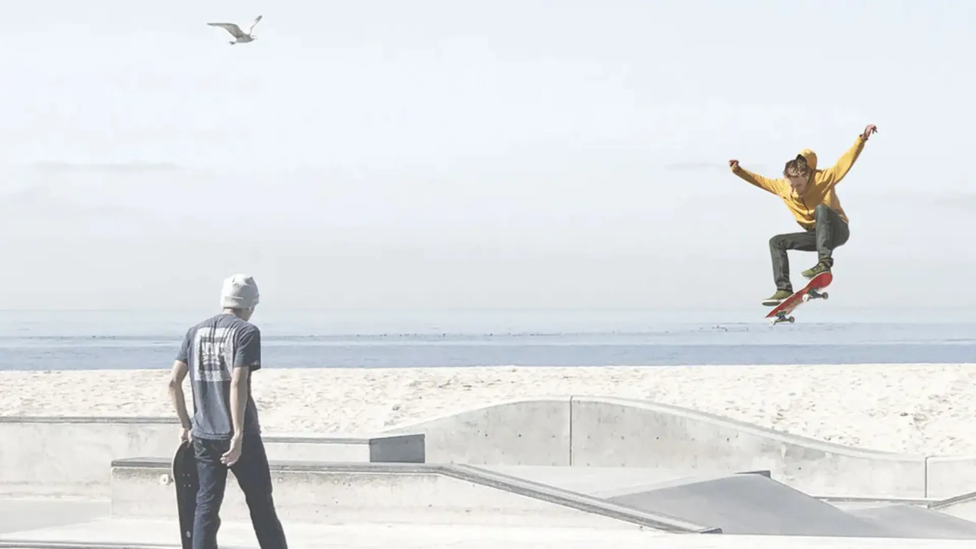 evoZero, world's first net zero carbon captured cement