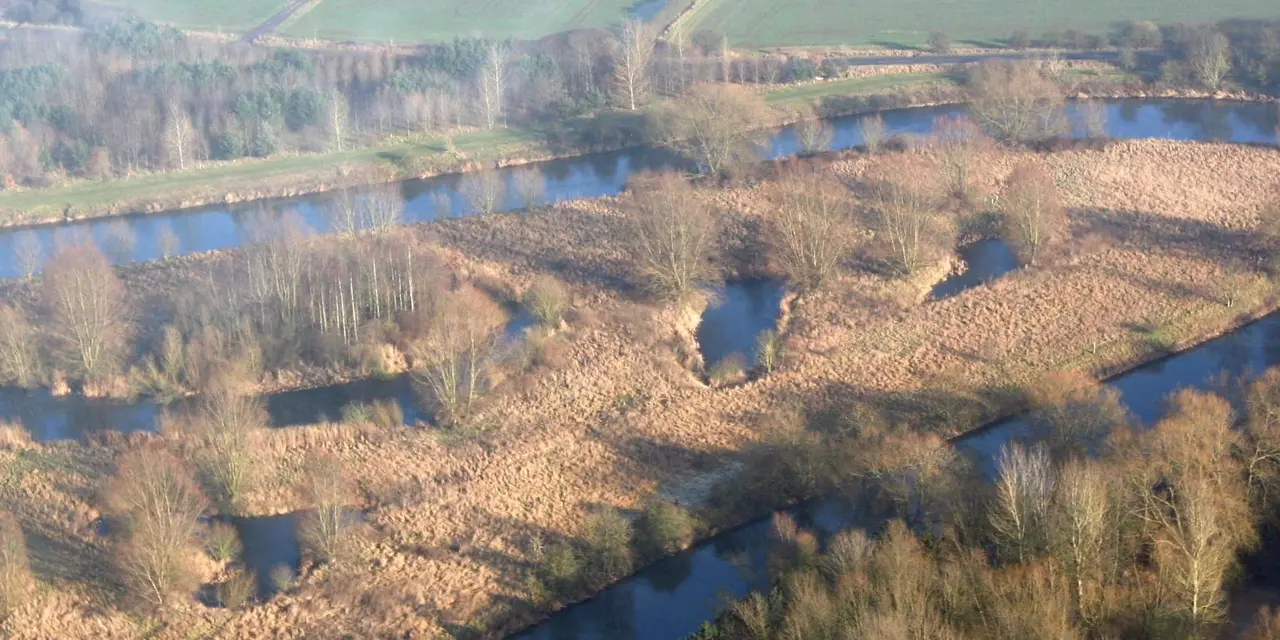 Work to restore rivers and floodplains in the Trent Valley in Staffordshire has been recognised with a national award.