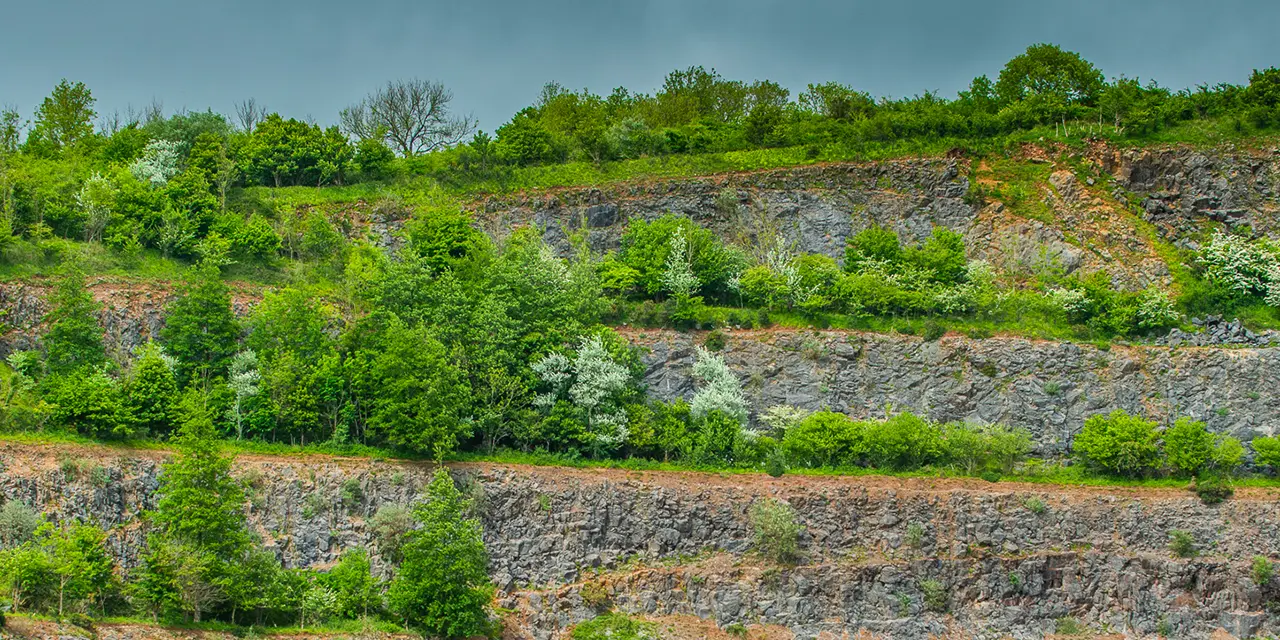 Quarry Life Award